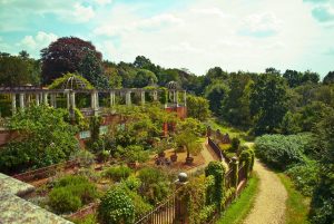 hill-garden-and-pergola