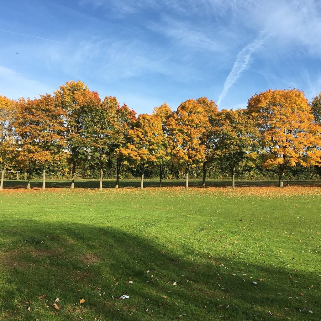 Fairlands Valley Park