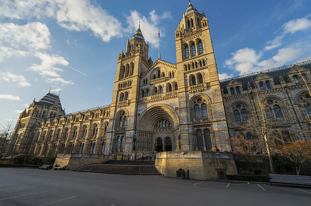 The Natural History Museum: